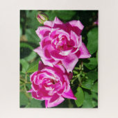 Twee roze Roses puzzel (Verticaal)