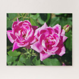 Twee roze Roses puzzel