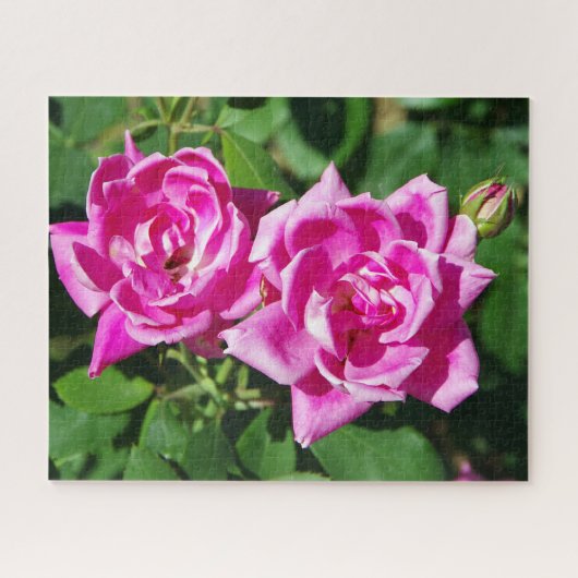 Twee roze Roses puzzel (Horizontaal)