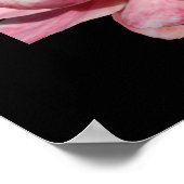 Twee roze roze rozen Poster zwart afdrukken (Hoek)