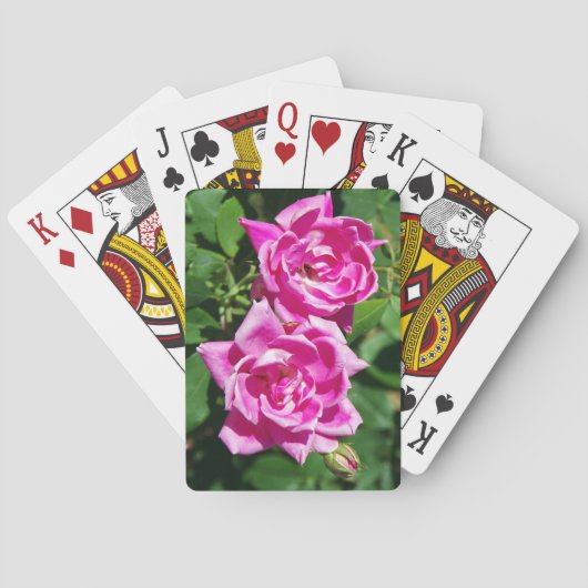 Twee roze roze speelkaarten (Achterkant)
