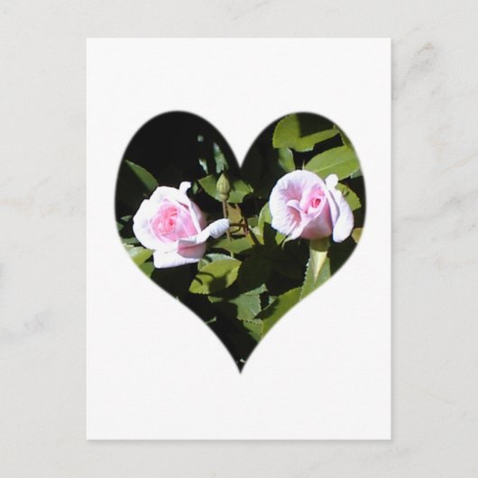 Twee roze rozen in een hart briefkaart (Voorkant)