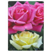 Twee roze rozen klembord (Achterkant)