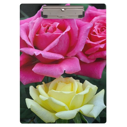 Twee roze rozen klembord (Voorkant)