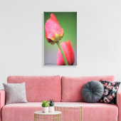 Twee roze tapijtschelpen — Afdrukken (Insitu (Woonkamer))