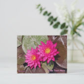 Twee Roze Waterlelies Briefkaart (Staand voorkant)