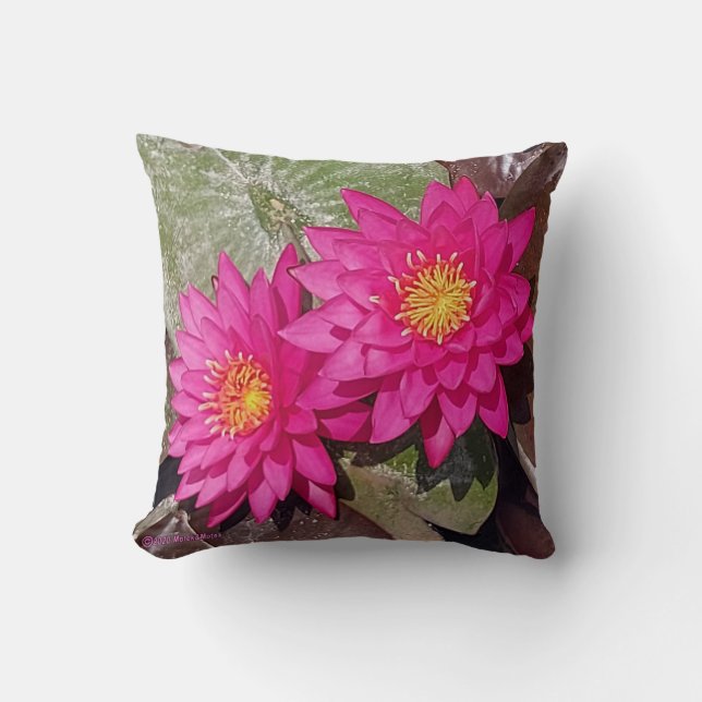 Twee roze waterlelies kussen (Voorkant)