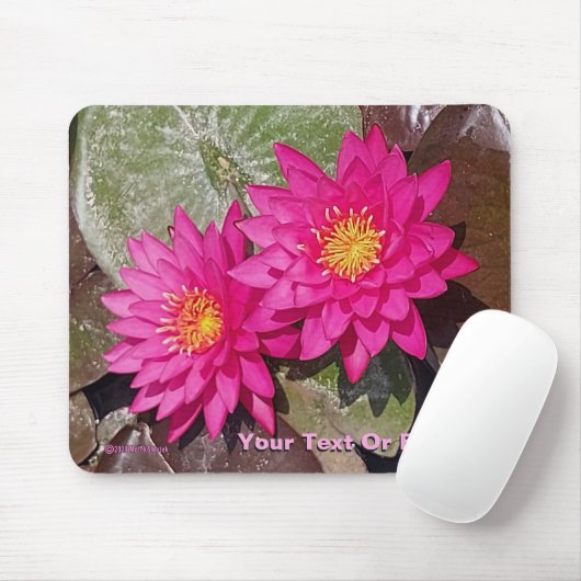 Twee roze waterlelies muismat (Met muis)