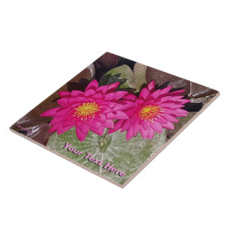 Twee roze waterlelies tegeltje