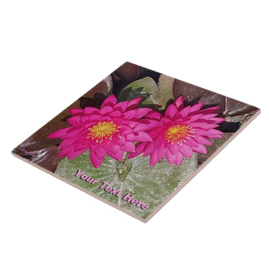 Twee roze waterlelies tegeltje (Zijkant)