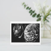 twee rozen briefkaart (Staand voorkant)