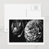 twee rozen briefkaart (Voorkant / Achterkant)