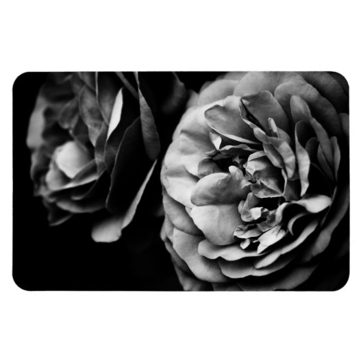 twee rozen magneet (Horizontaal)
