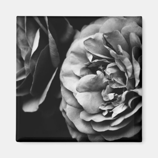 twee rozen magneet (Voorkant)