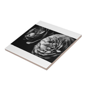 twee rozen tegeltje