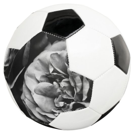 twee rozen voetbal (Drie kwart)