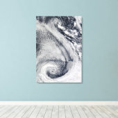 Twee S-vormige polarorkanen Canvas Afdruk (Insitu (Houten vloer))