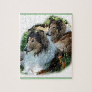 Twee Sable Rough Collies Legpuzzel