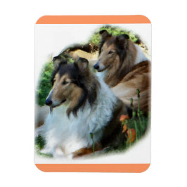 Twee Sable Rough Collies Magneet