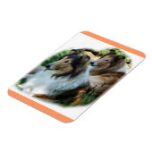 Twee Sable Rough Collies Magneet (Linkerzijde)