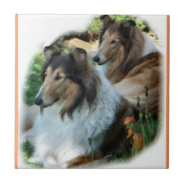 Twee Sable Rough Collies Tegeltje