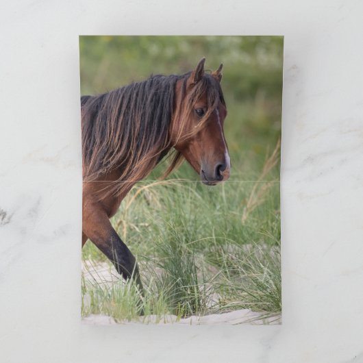 Twee Sable Stallions stromende Manes - Wenskaart Kaart (Binnen)