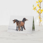 Twee Sable Stallions stromende Manes - Wenskaart Kaart (Gele Bloem)