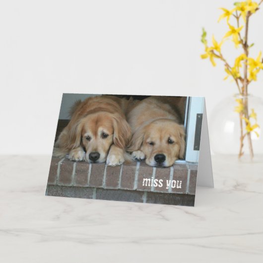 Twee Sad Golden Retriever Dogs Miss U Kaart (Gele Bloem)