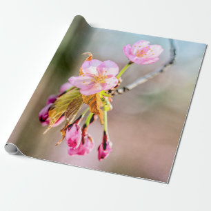 Twee Sakura-bloemen op een twijg Cadeaupapier