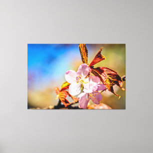 Twee Sakura Cherry Flowers Canvas Afdruk