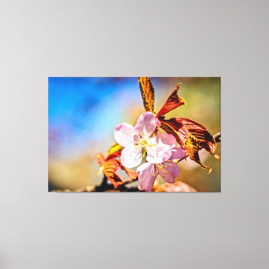 Twee Sakura Cherry Flowers Canvas Afdruk (Voorkant)