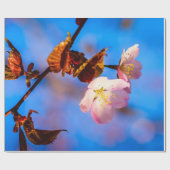 Twee Sakura Flowers op blauw Cadeaupapier (Vlak)