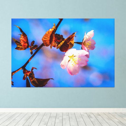 Twee Sakura Flowers op blauw Canvas Afdruk (Insitu (Houten vloer))