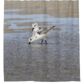 Twee Sanderlings Douchegordijn (Voorkant)