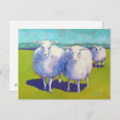 Twee schapen in het veld briefkaart (Voorkant / Achterkant)