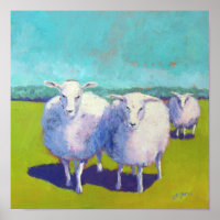 Twee schapen in het veld