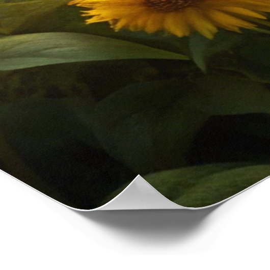 Twee schapen poster (Hoek)