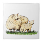 twee schapenkootetegels tegeltje (Voorkant)