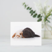 Twee schattige baby bunnies briefkaart (Staand voorkant)