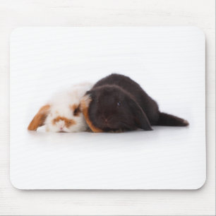 Twee schattige baby bunnies muismat