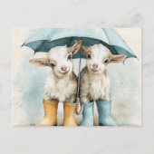 Twee Schattige Baby Goats op een regenachtige dag Briefkaart (Voorkant)