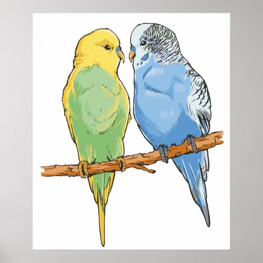 Twee schattige blauwe en groene boedgies poster (Voorkant)