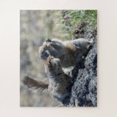 Twee schattige bodemeekhoorns (sloepen, evrazki) legpuzzel (Verticaal)