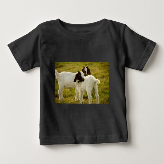 Twee schattige Boer-geiten op veld foto (Voorkant)