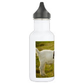 Twee Schattige Boer Geiten Waterfles (Links)