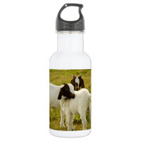 Twee Schattige Boer Geiten