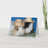 Twee schattige cavia's Wenskaart Kaart (Voorkant)