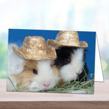 Twee schattige cavia's Wenskaart