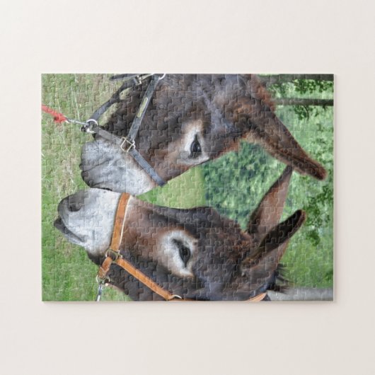 Twee schattige ezels legpuzzel (Horizontaal)