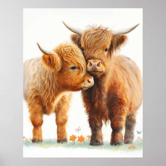 Twee schattige Highland koeien die elkaar omhelzen Poster (Voorkant)